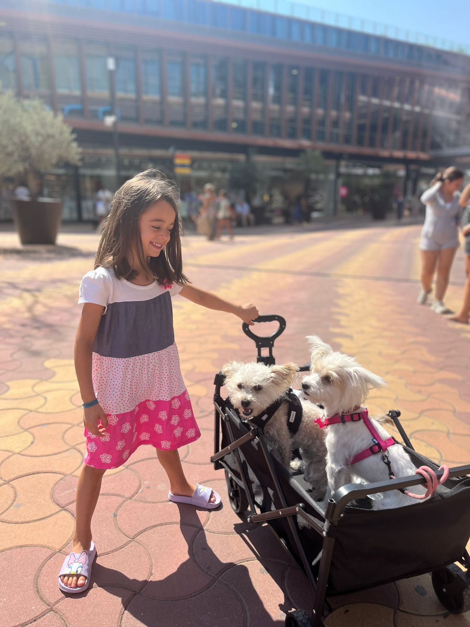 Menina a passear com cãezinhos